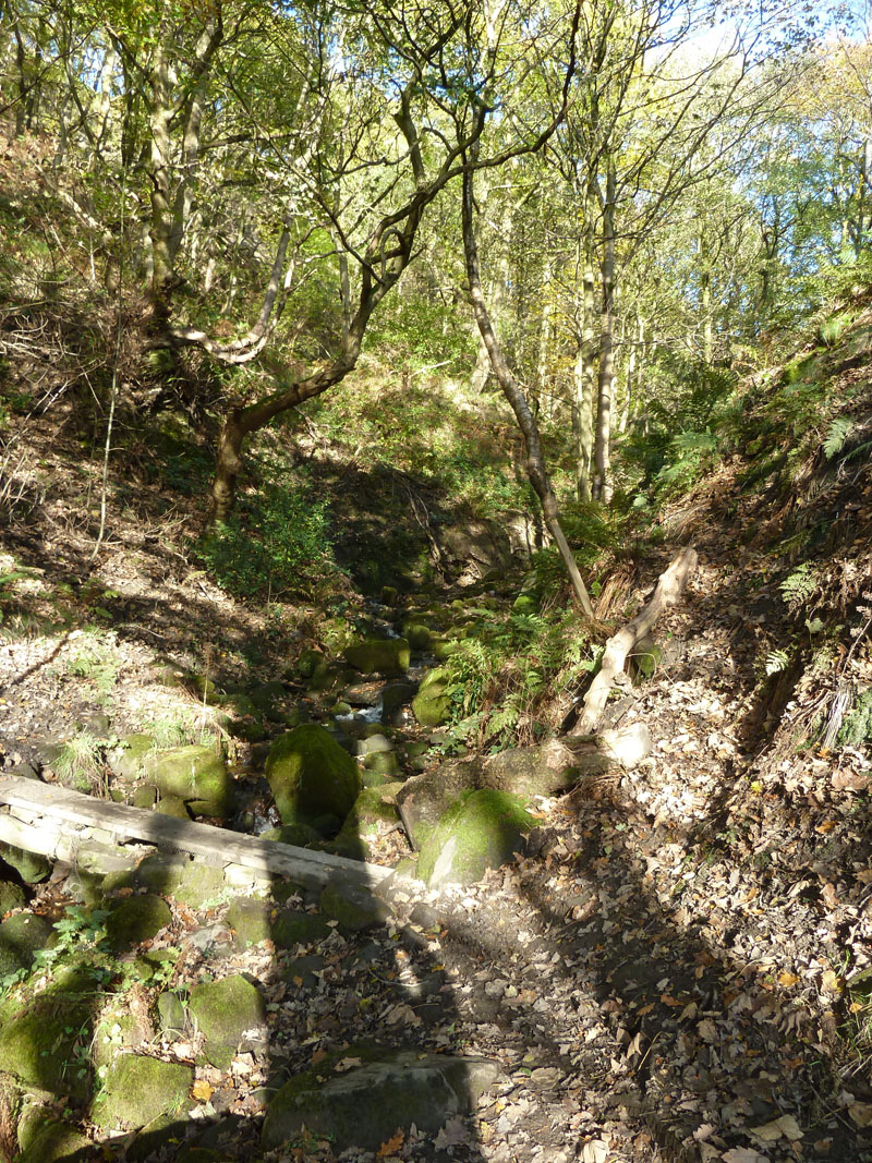 Wittonstall Clough